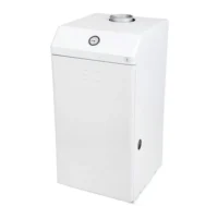 Газовый котёл Мимакс VEGA КСГ-31 1